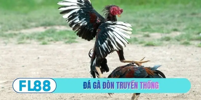 Đá gà đòn truyền thống