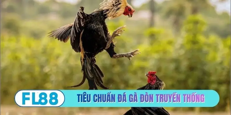Tiêu chuẩn đá gà đòn truyền thống